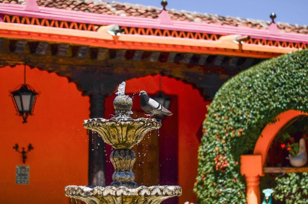 ホテル ディエゴ デ マザリエゴス San Cristóbal de Las Casas エクステリア 写真